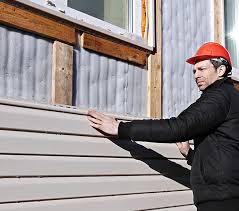 Best Custom Trim and Detailing for Siding  in Lmar, DE